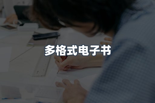 多格式电子书